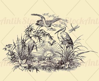 Vignette with rising sun and herons