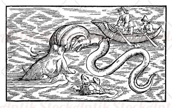 Medieval sea monsters