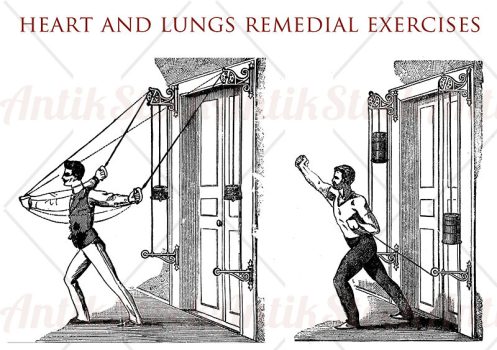 Heart and lungs exercises 3