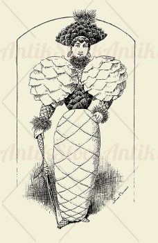 conifer dress – humor and caricatures 19th century