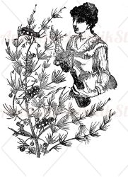 Woman picking larvae and bugs from a tree