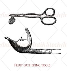 Agriculture and fruit harvest tools