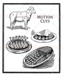 Mutton numbered cuts and roat meat