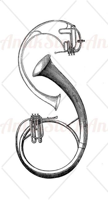 Saxhorn musical instrument
