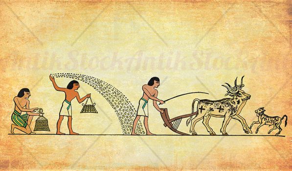 Ancient Egypt agricultural work